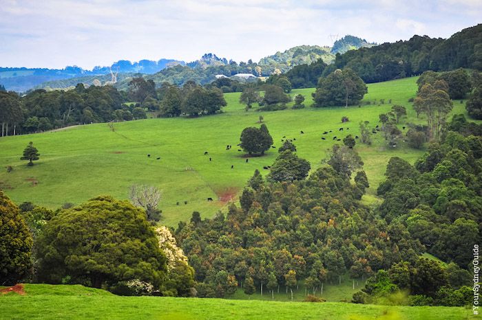 Southern Highlands Private Tour | Your Sydney Guide